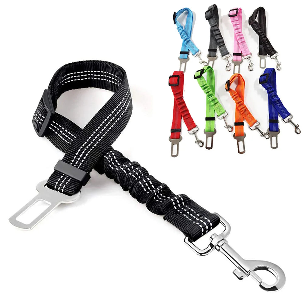 Car Seat Dog Leash