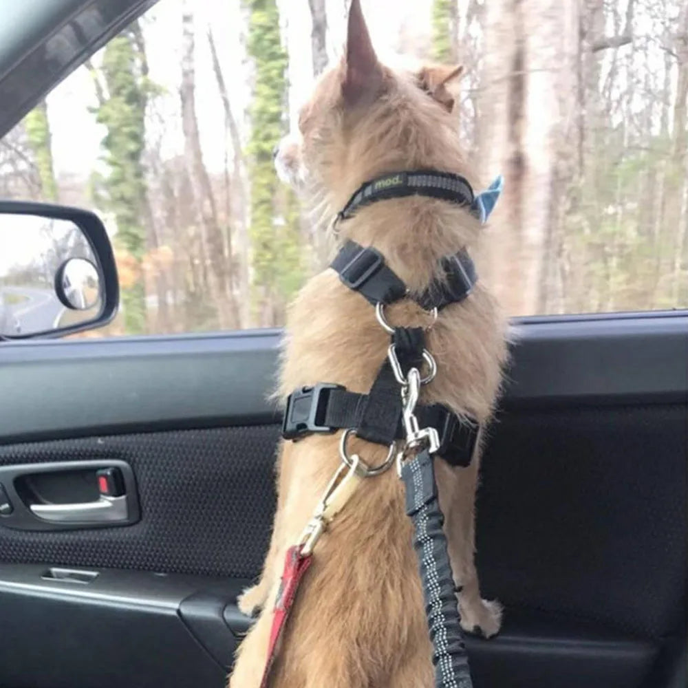 Car Seat Dog Leash