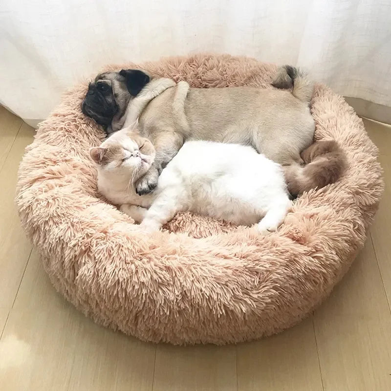 Plush Nest Dog Bed