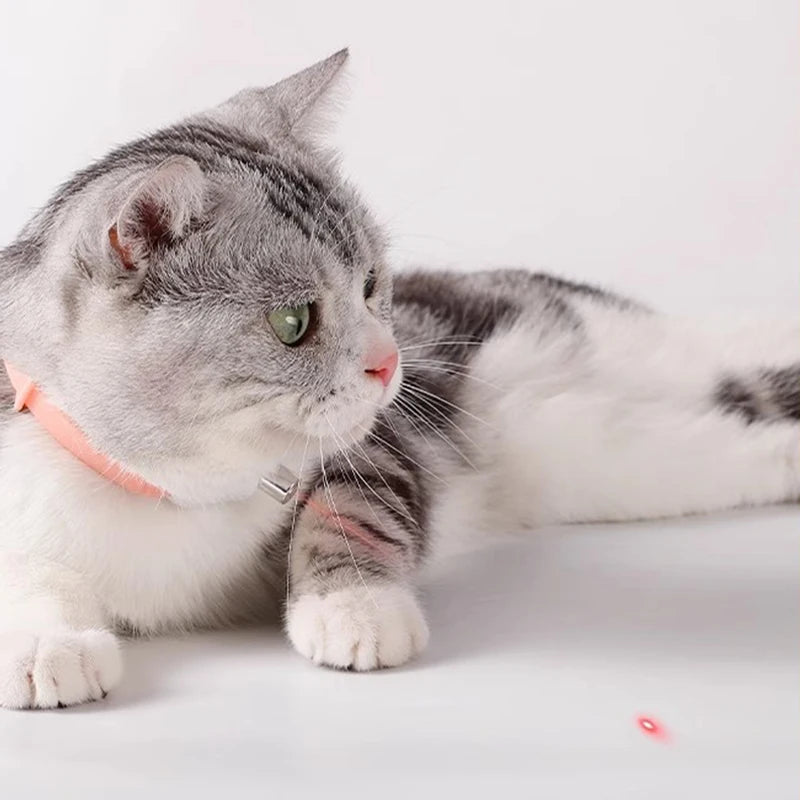Smart Cat Laser