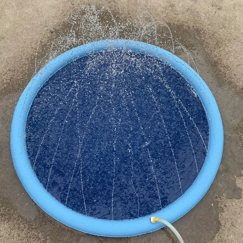 Pet Water Mat