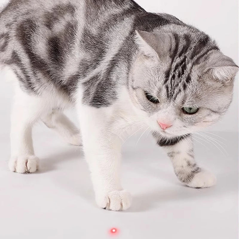 Smart Cat Laser