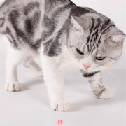 Smart Cat Laser
