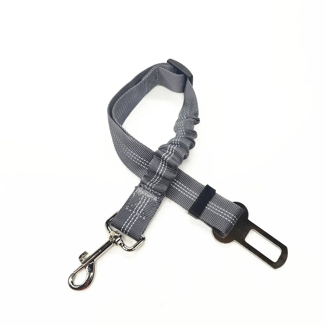 Car Seat Dog Leash