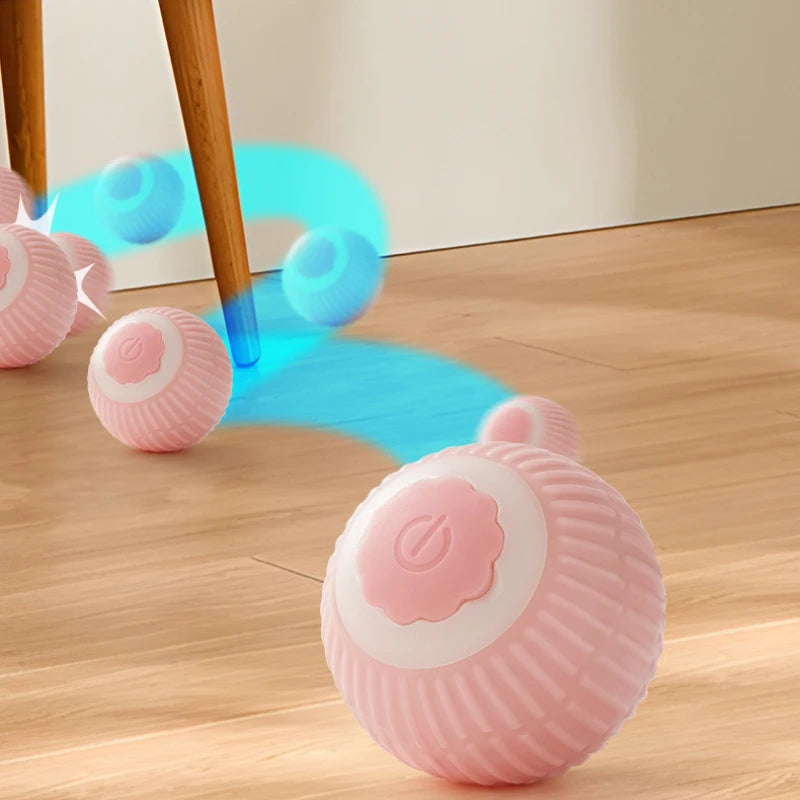 Magic Pet Toy