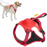 Retractable Dog Harness