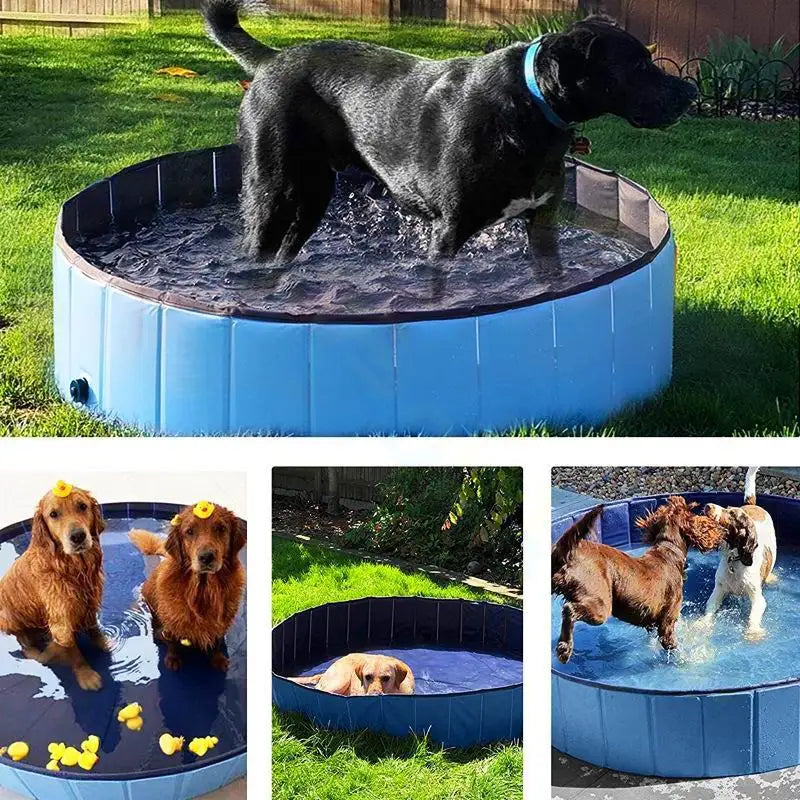 Pet Bath Pool