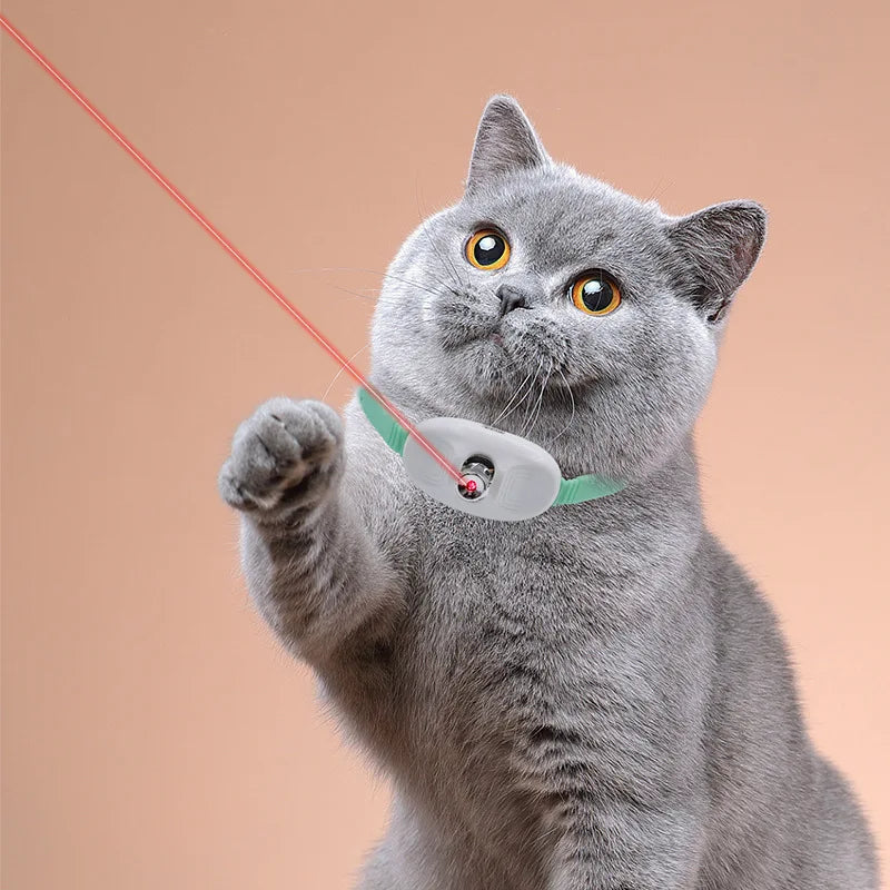 Smart Cat Laser