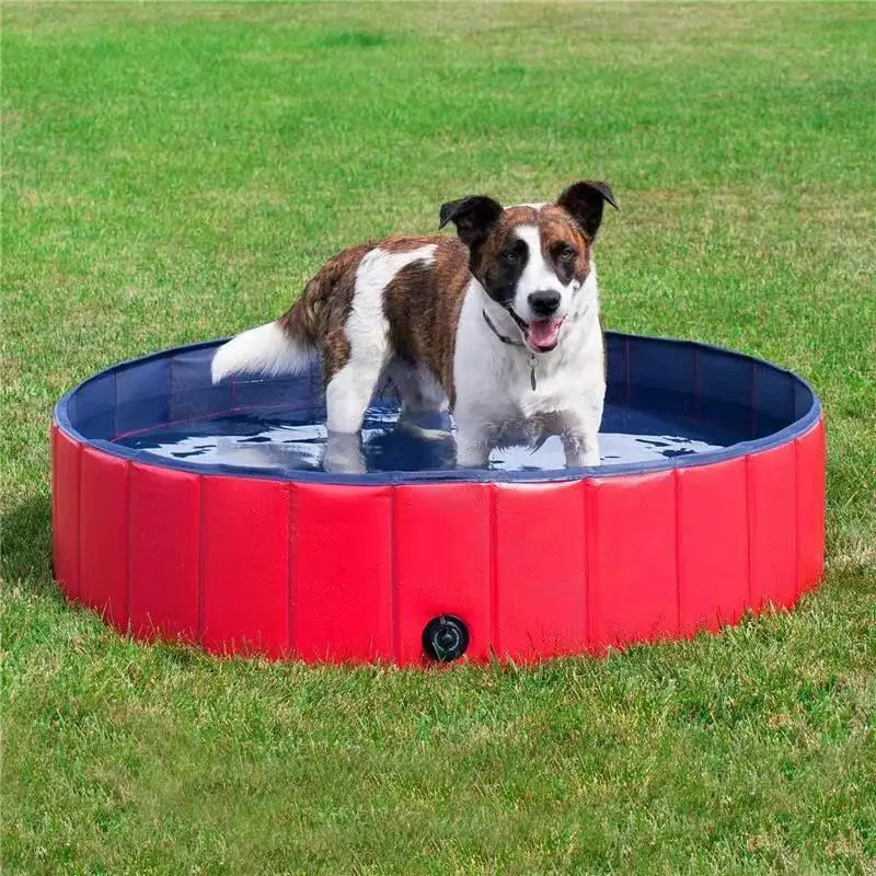Pet Bath Pool