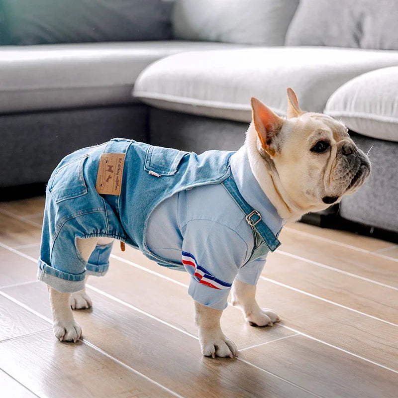 Winter Pet Coat