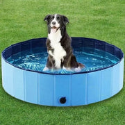 Pet Bath Pool