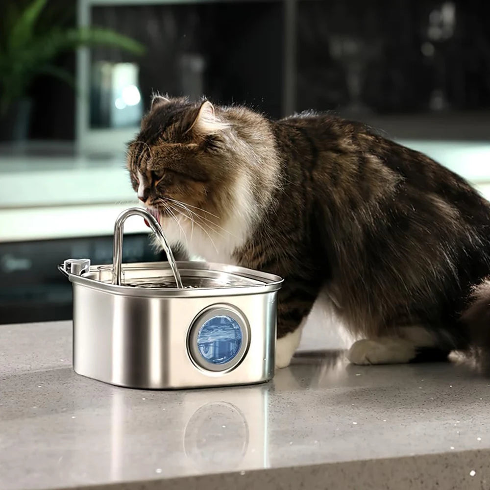 Pet Water Dispenser