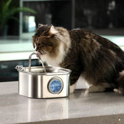 Pet Water Dispenser